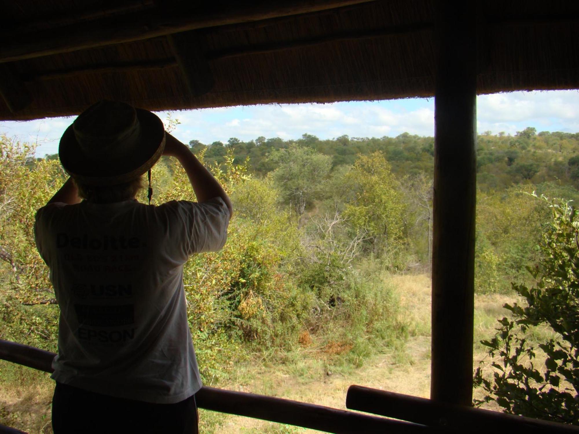 Muweti Bush Lodge Grietjie Game Reserve Rum bild